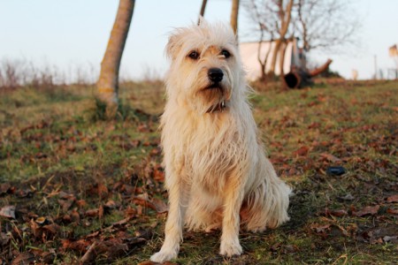 Momo- dokonalá slečna